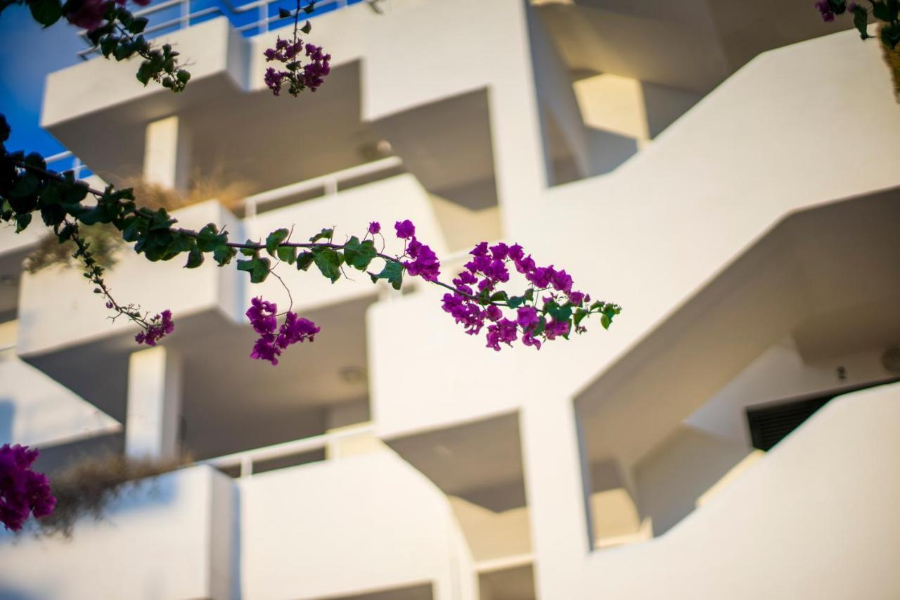 Camelina Suites San Antonio  Eksteriør bilde