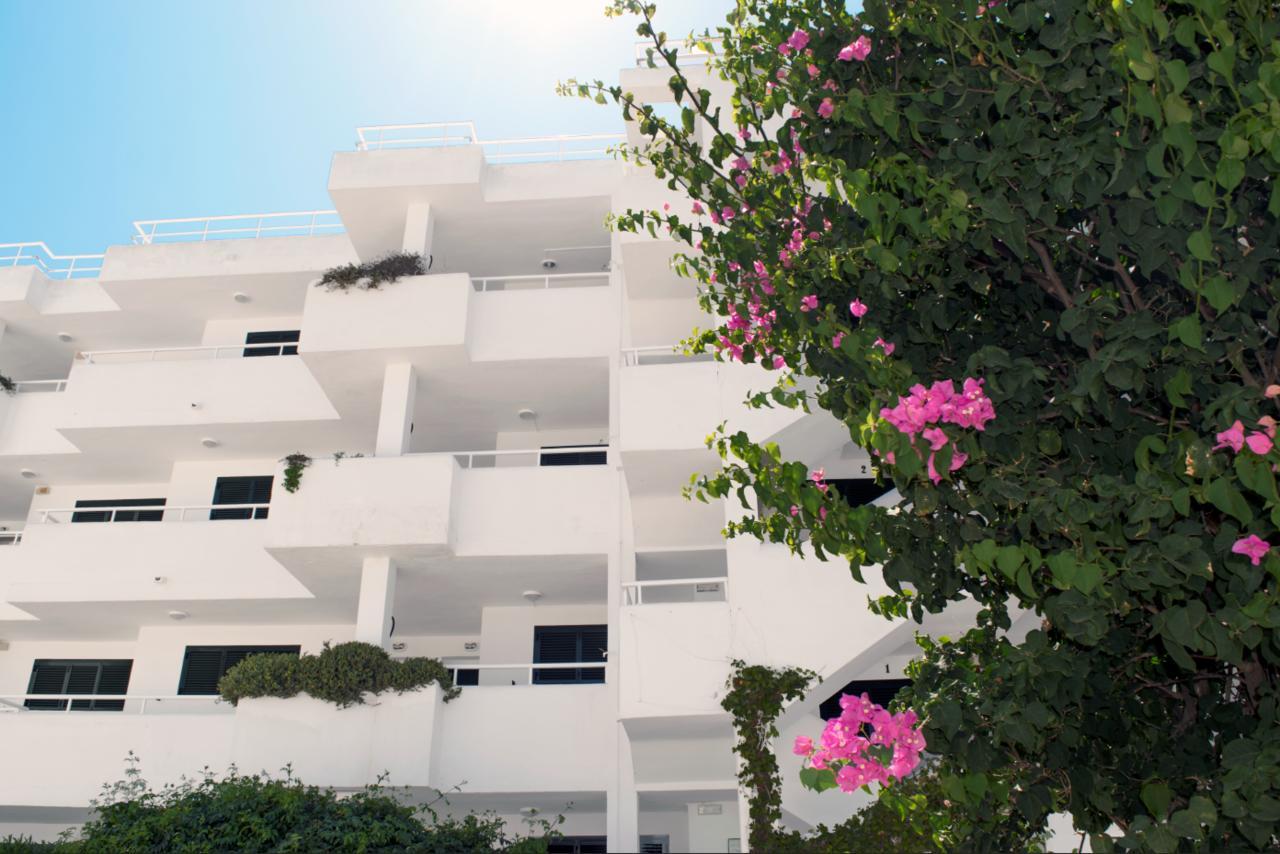 Camelina Suites San Antonio  Eksteriør bilde
